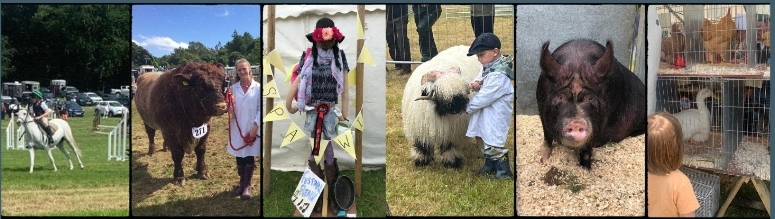 Castlewellan Agricultural Show